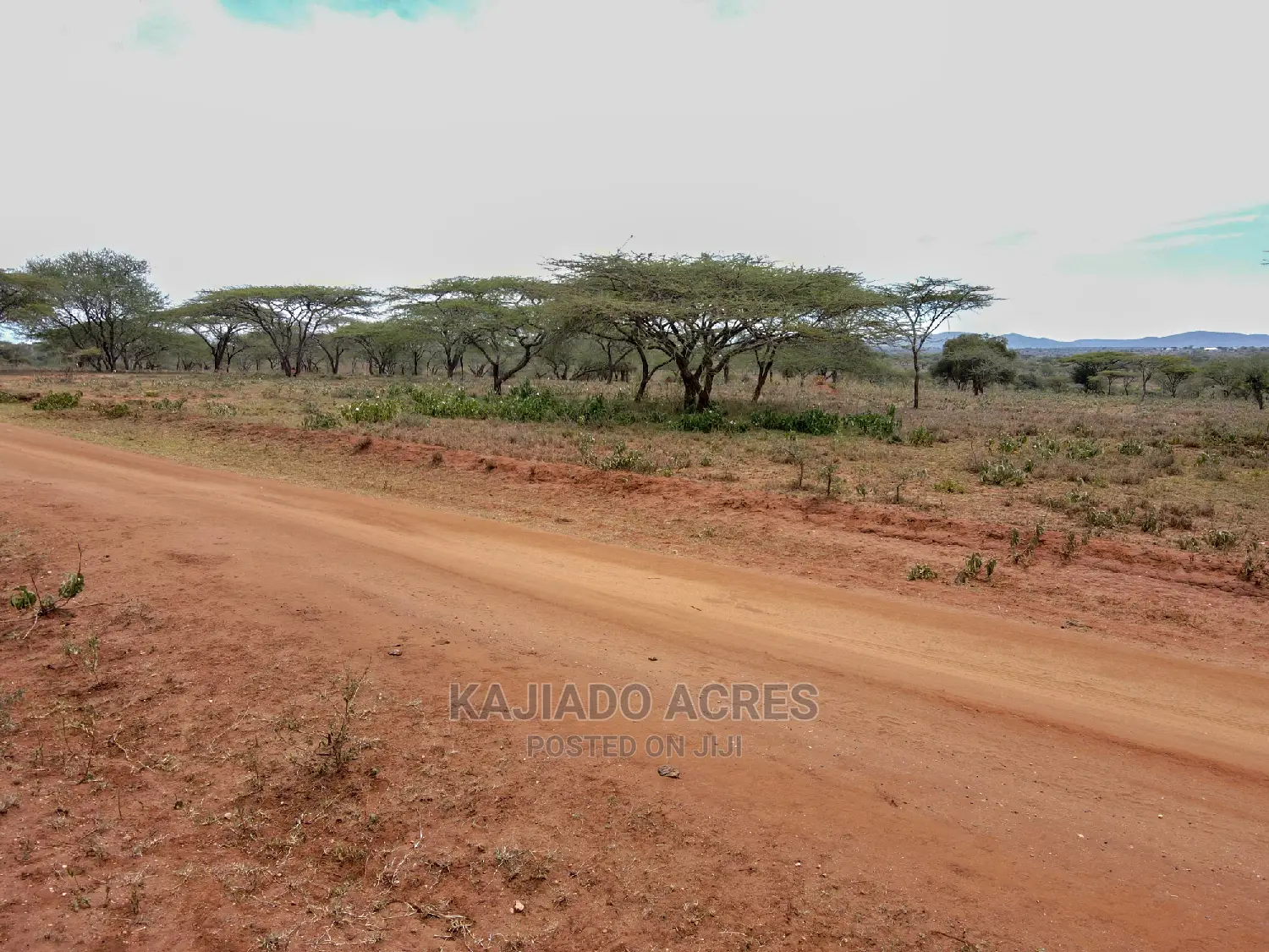 5-Acre Sajiloni Land for Sale at $1.2 Million Each Acre in Isinya