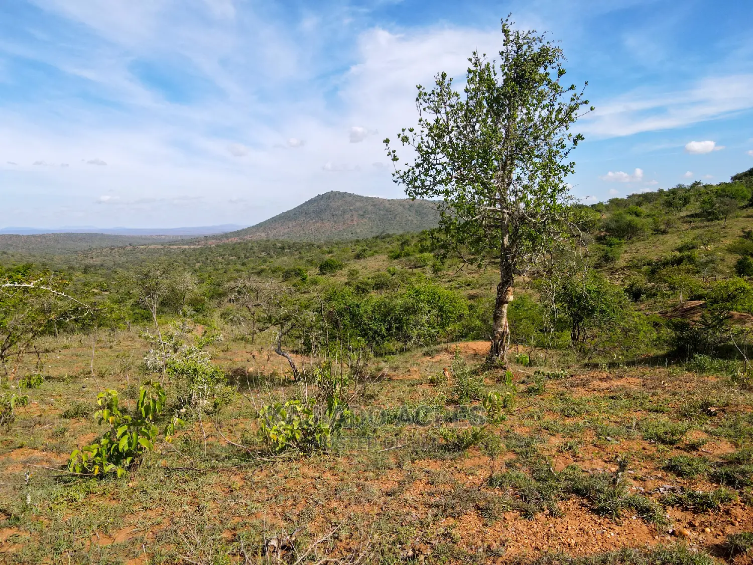 10 Acres of prime Nkorika land for sale at competitive $600k per acre in Imaroro