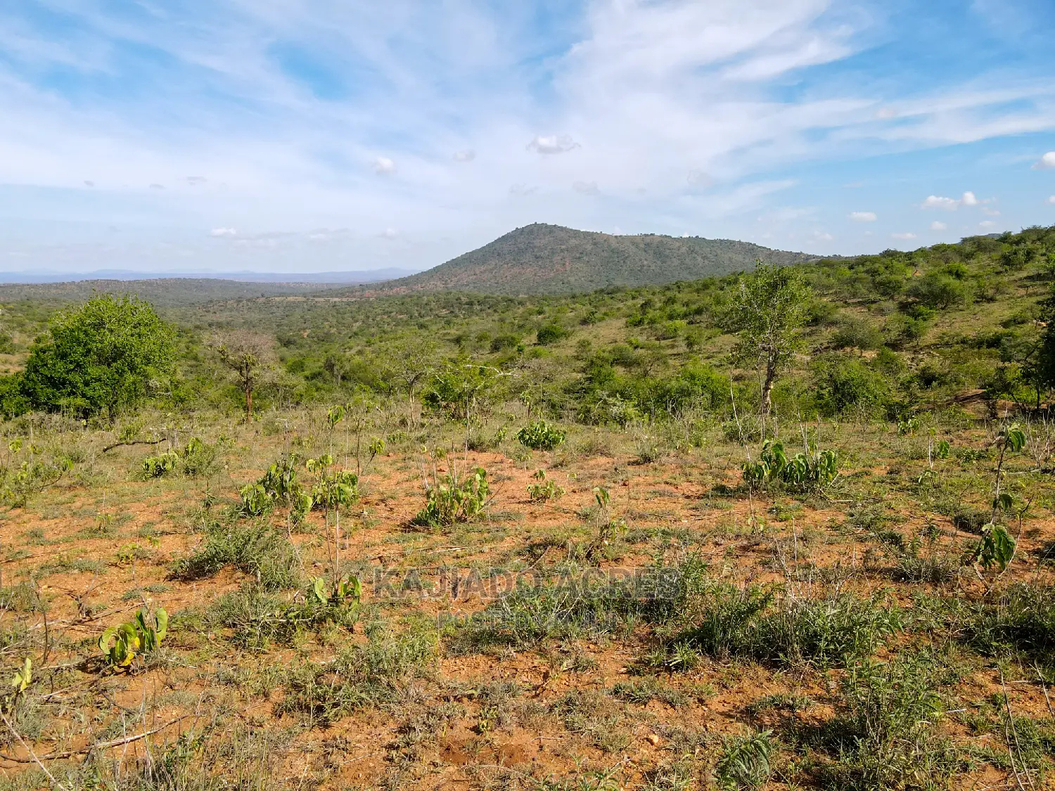 10 Acres of prime Nkorika land for sale at competitive $600k per acre in Imaroro