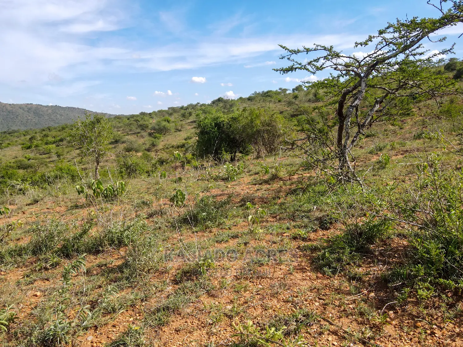 10 Acres of prime Nkorika land for sale at competitive $600k per acre in Imaroro