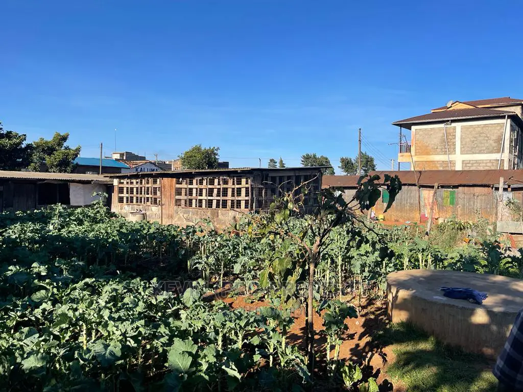 Commercial Land Available for Purchase in Zambezi, Nderi in Zambezi/Sigona
