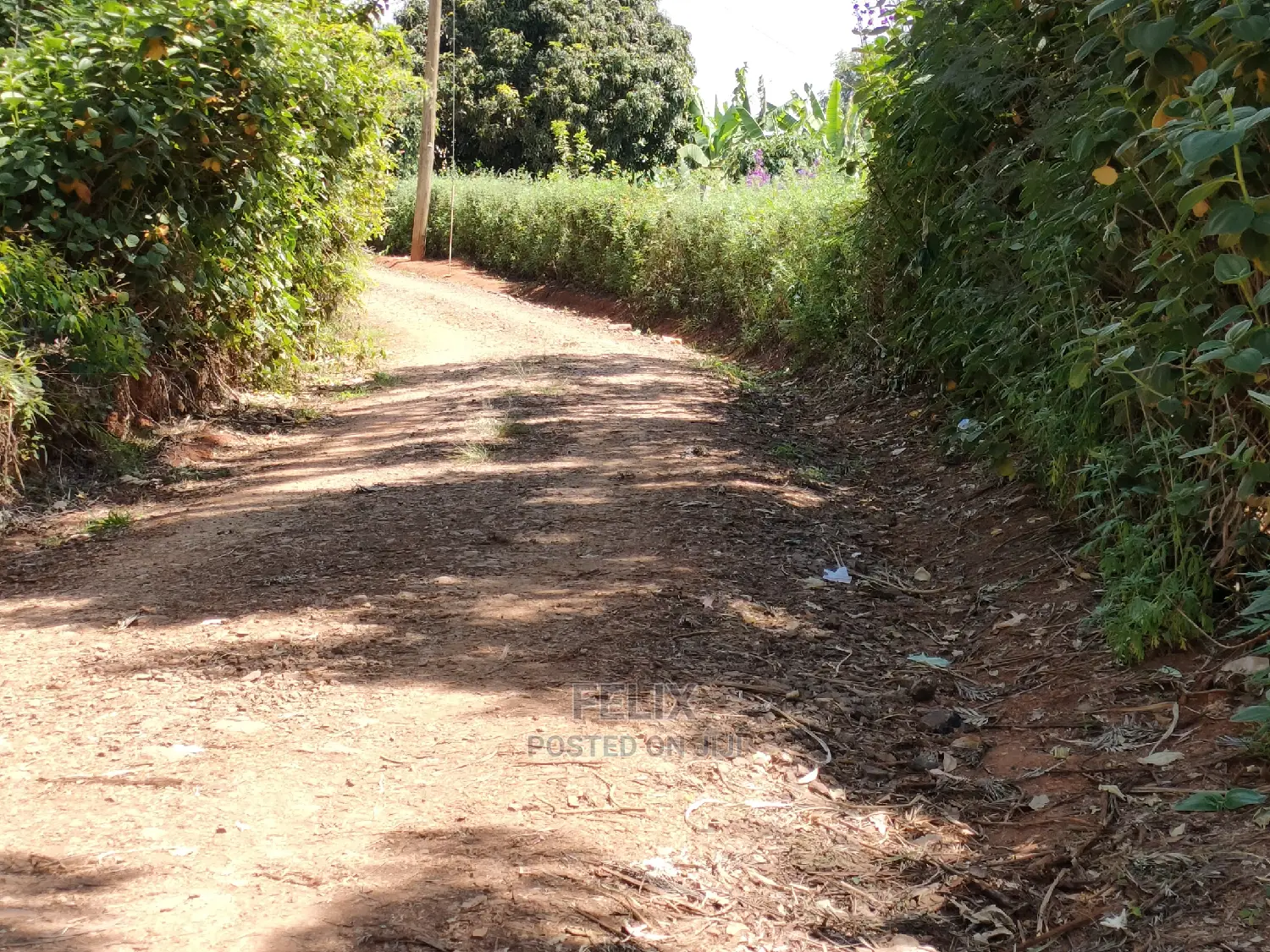 2acres Karatina/Mwanda Coffee Area in Karatina Town