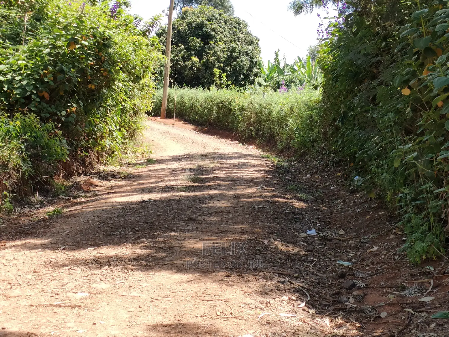 2acres Karatina/Mwanda Coffee Area in Karatina Town