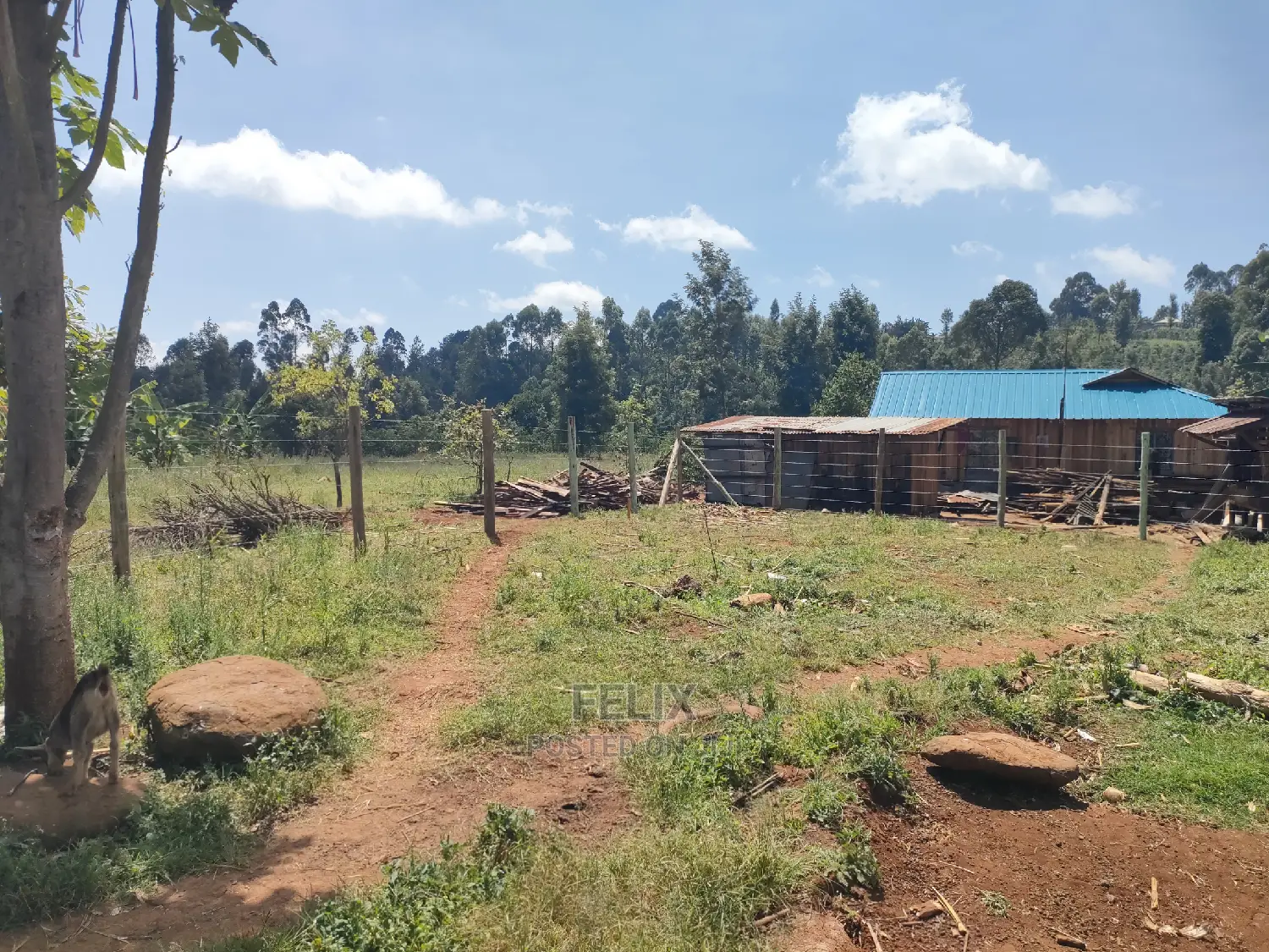 Karatina/Mwanda Quota Plot on Sale in Karatina Town