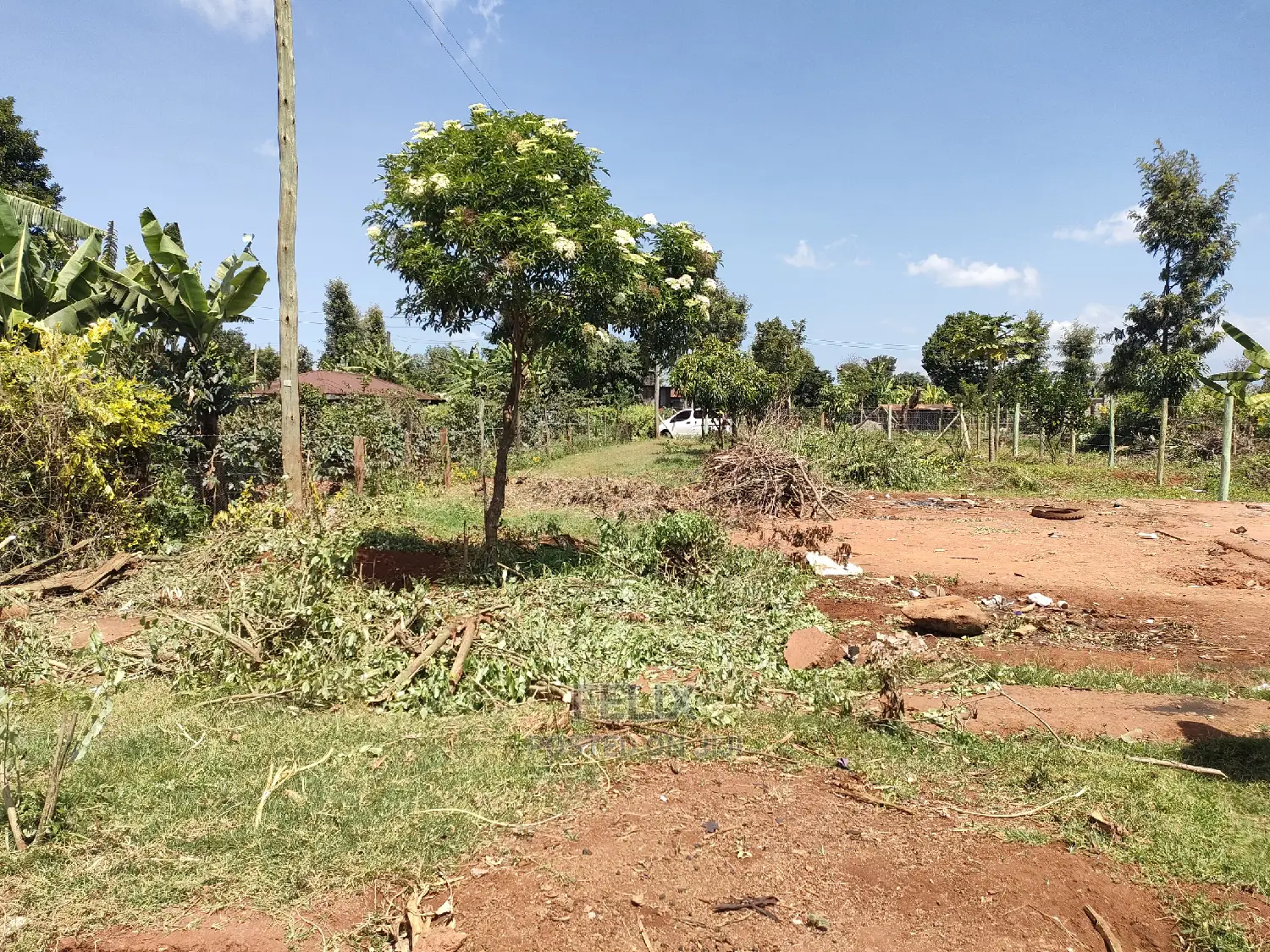 Karatina/Mwanda Quota Plot on Sale in Karatina Town