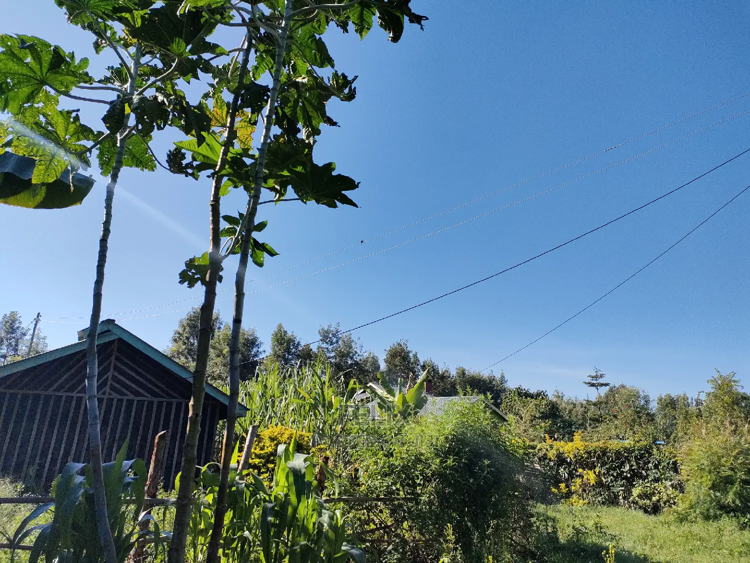Karatina/Kabiruini Quota Plot in Karatina Town