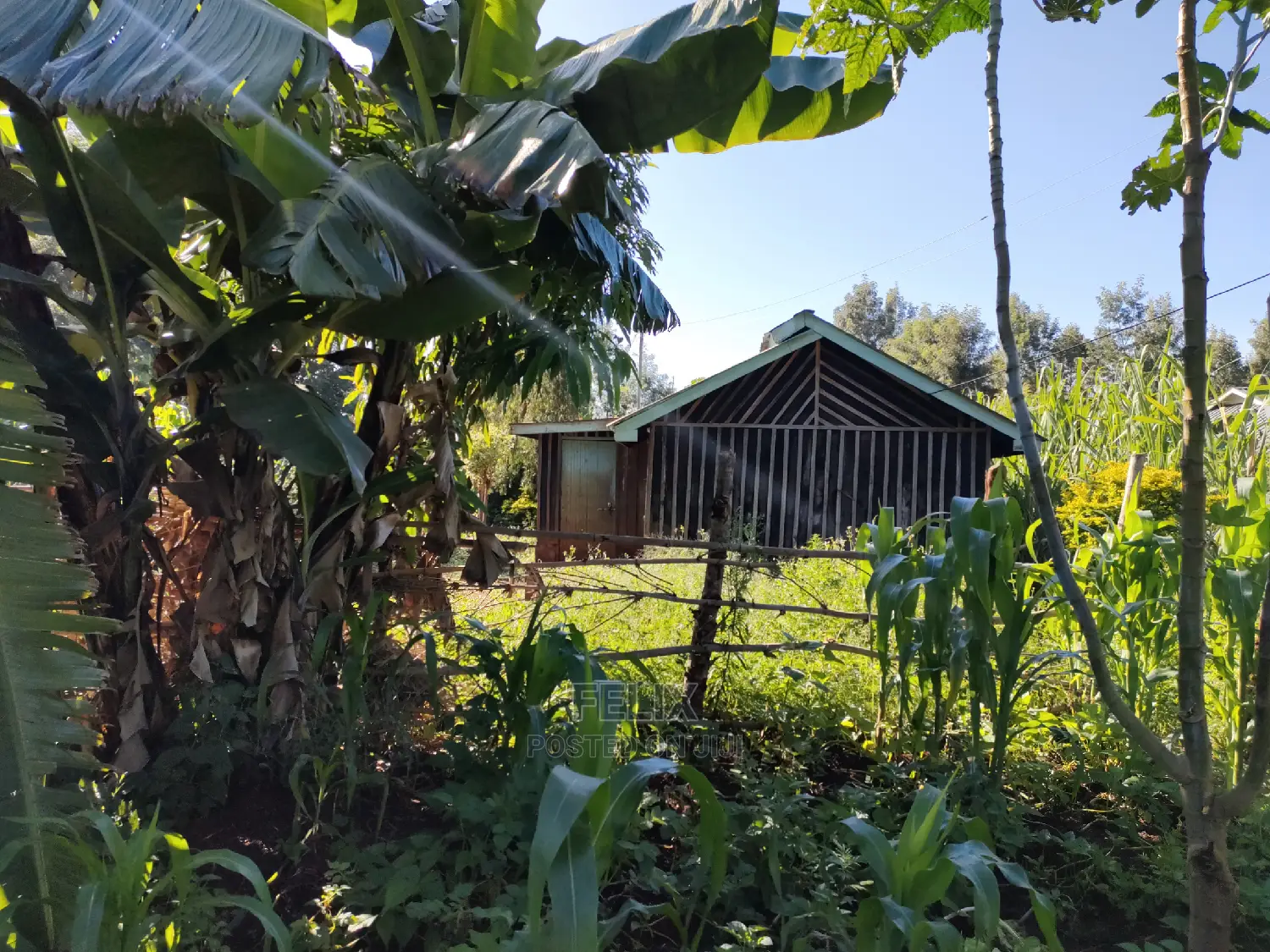 Karatina/Kabiruini Quota Plot in Karatina Town