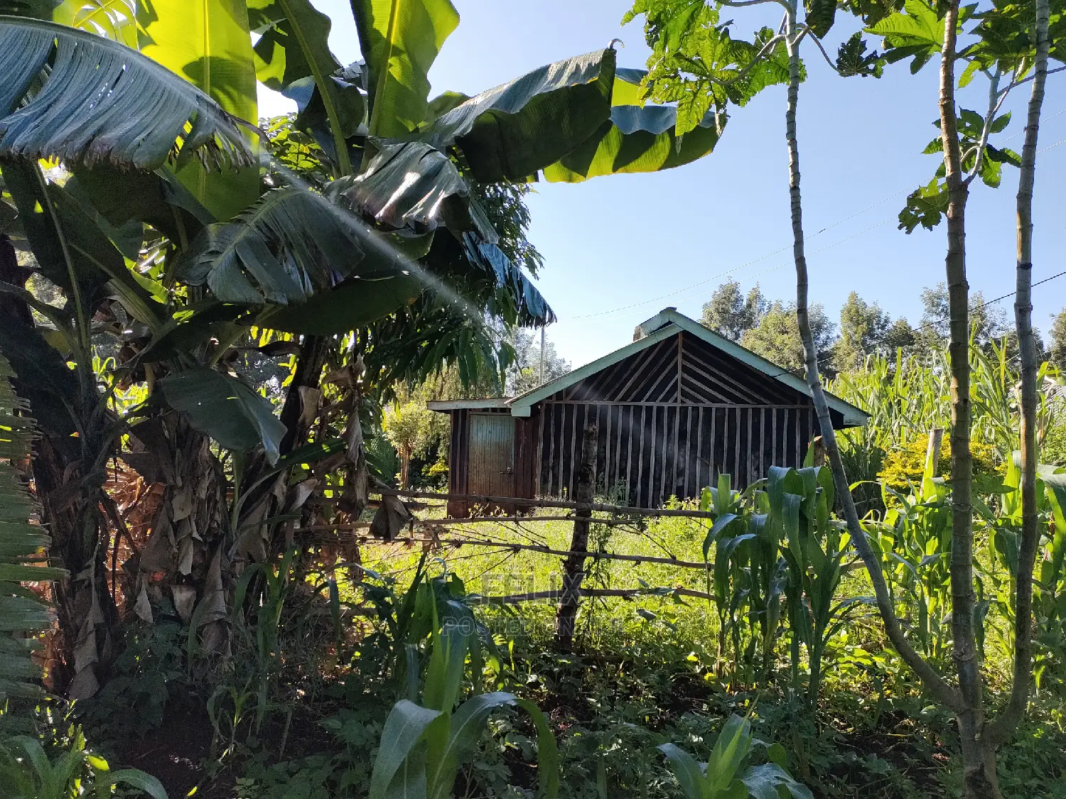 Karatina/Kabiruini Quota Plot in Karatina Town