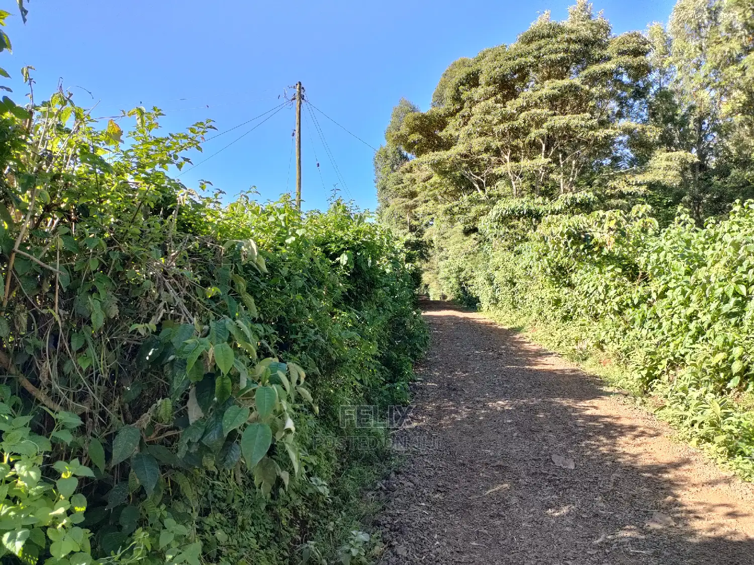 Karatina/Kabiruini Quota Plot in Karatina Town