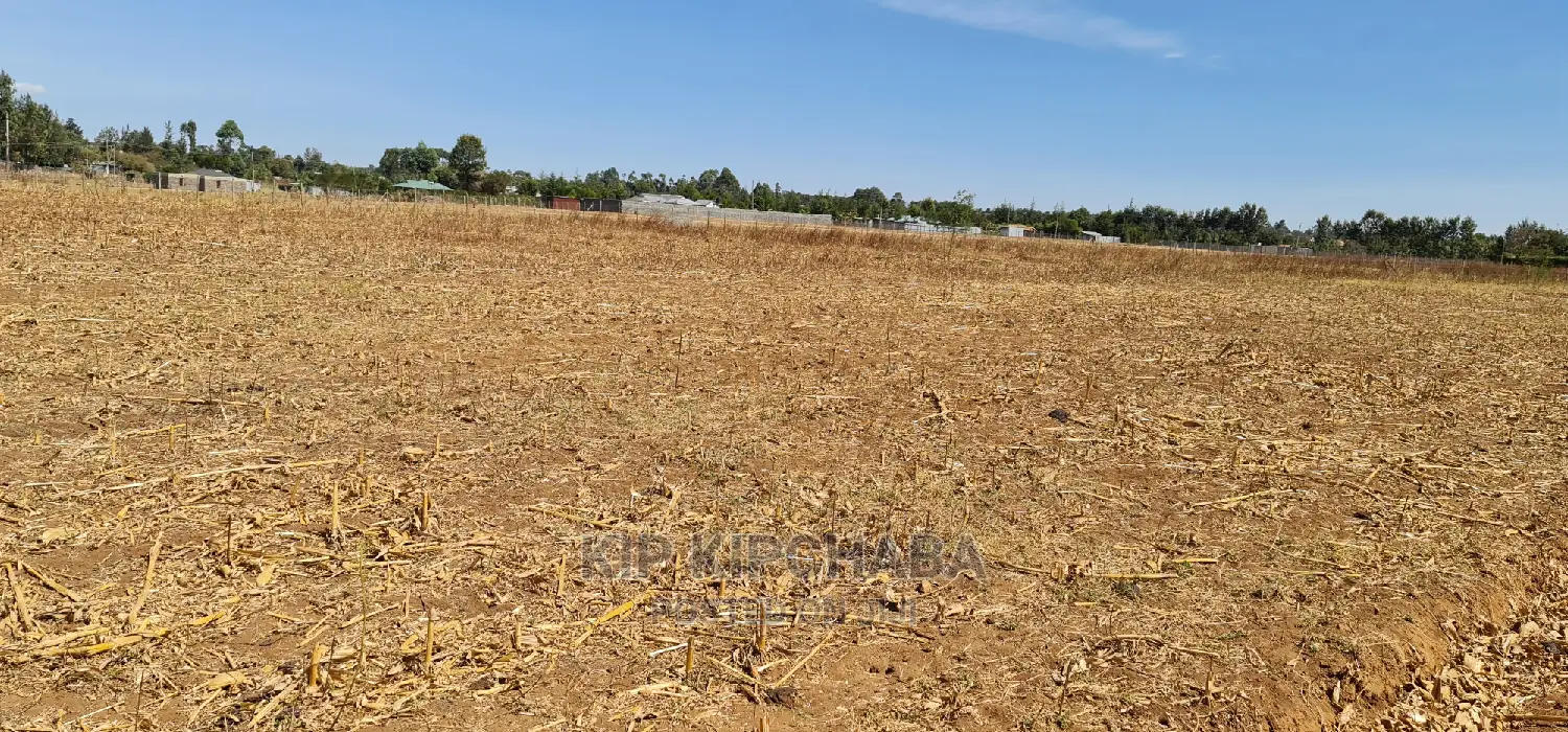 Land for Sale in Eldoret's Royalton Annex: Top Picks in Racecourse