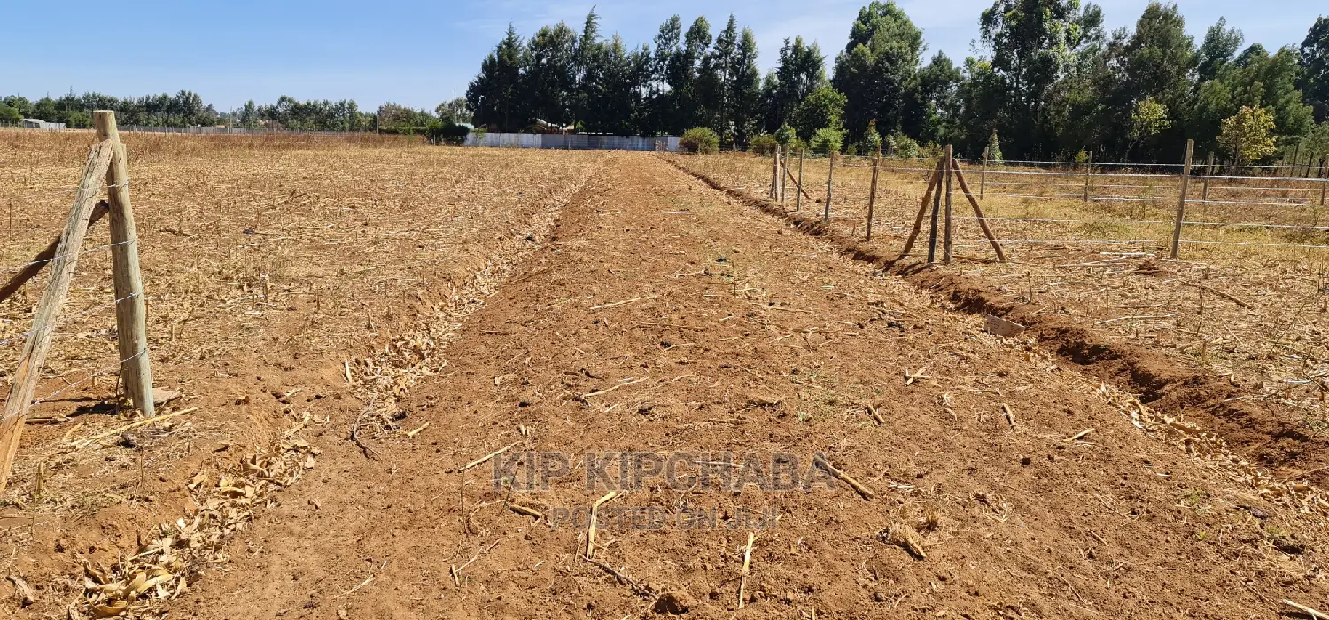 Land for Sale in Eldoret's Royalton Annex: Top Picks in Racecourse