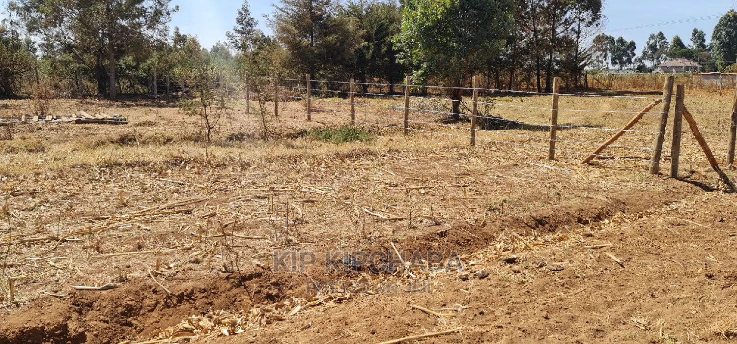 Land for Sale in Eldoret's Royalton Annex: Top Picks in Racecourse