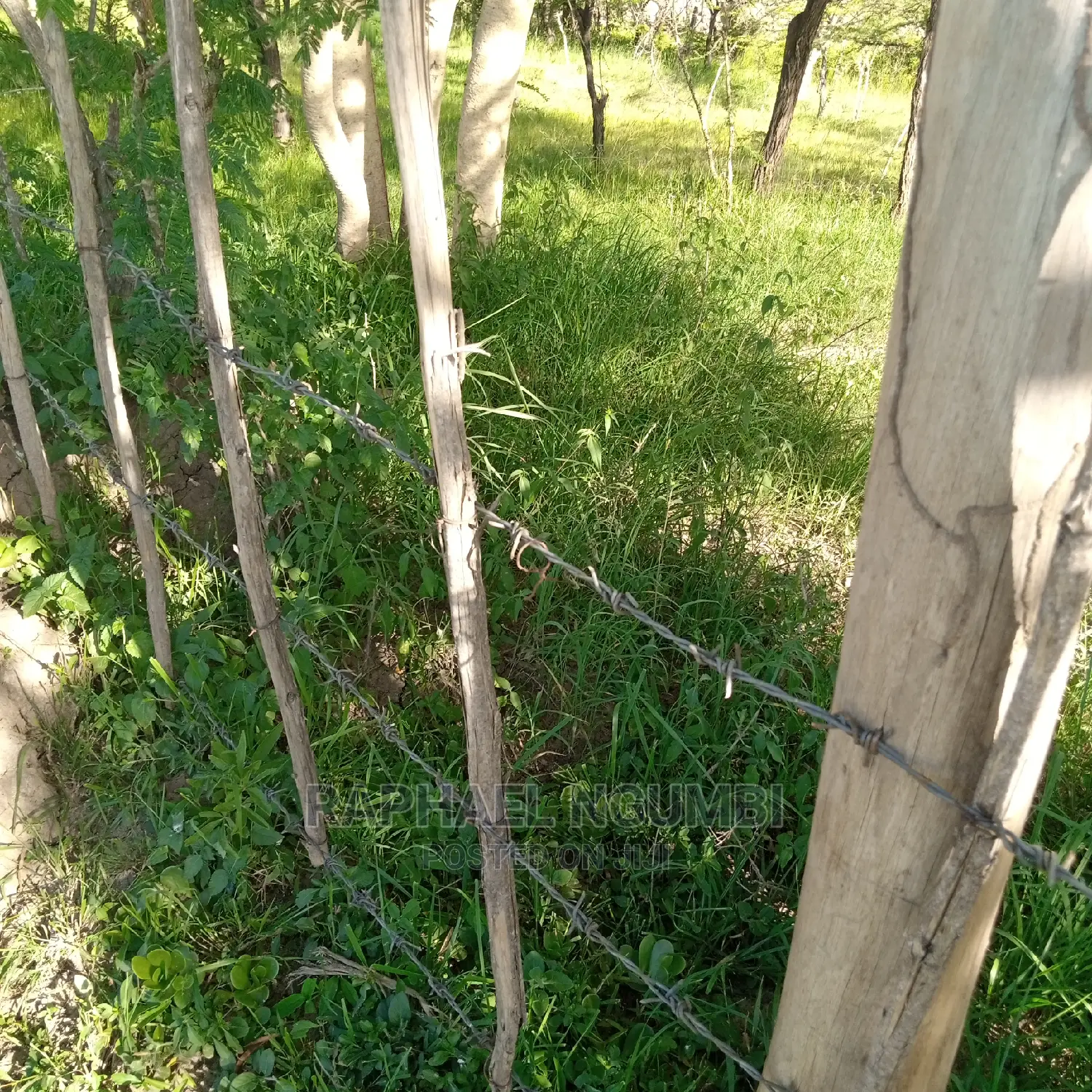 Prime 100*100 Plot in Mumbuni - A Perfect Investment Opportunity in Machakos Town