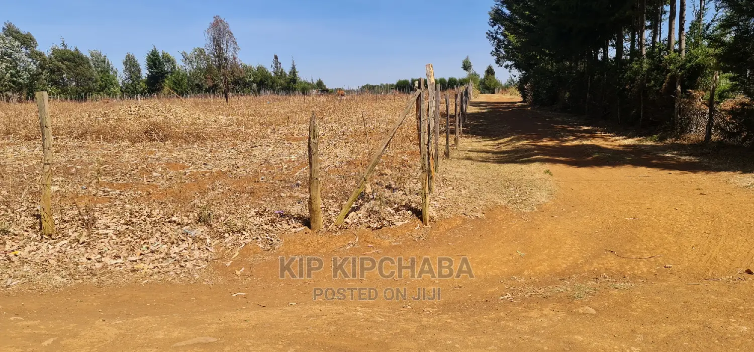 Spacious 1-Acre Land for Sale in Chepkoilel, Chepsiria Eldoret in Kimumu
