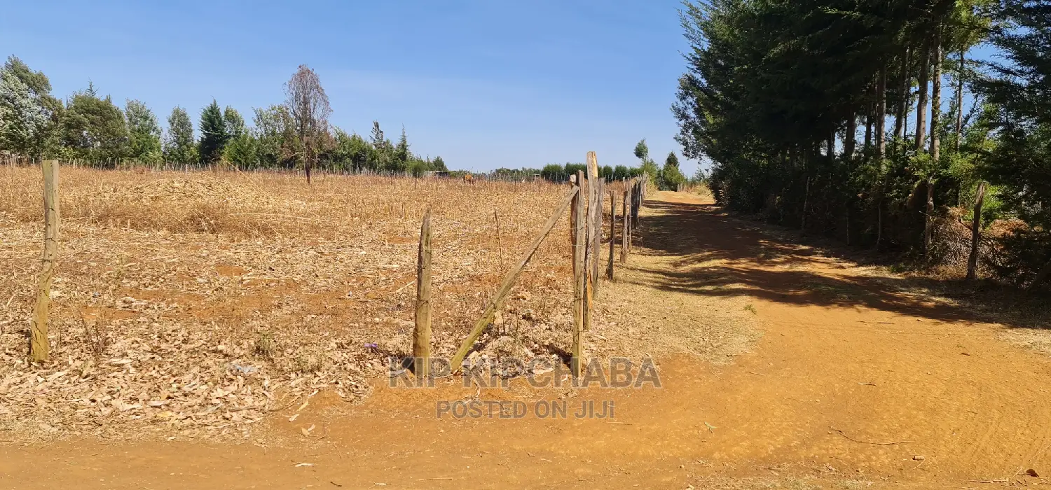 Spacious 1-Acre Land for Sale in Chepkoilel, Chepsiria Eldoret in Kimumu