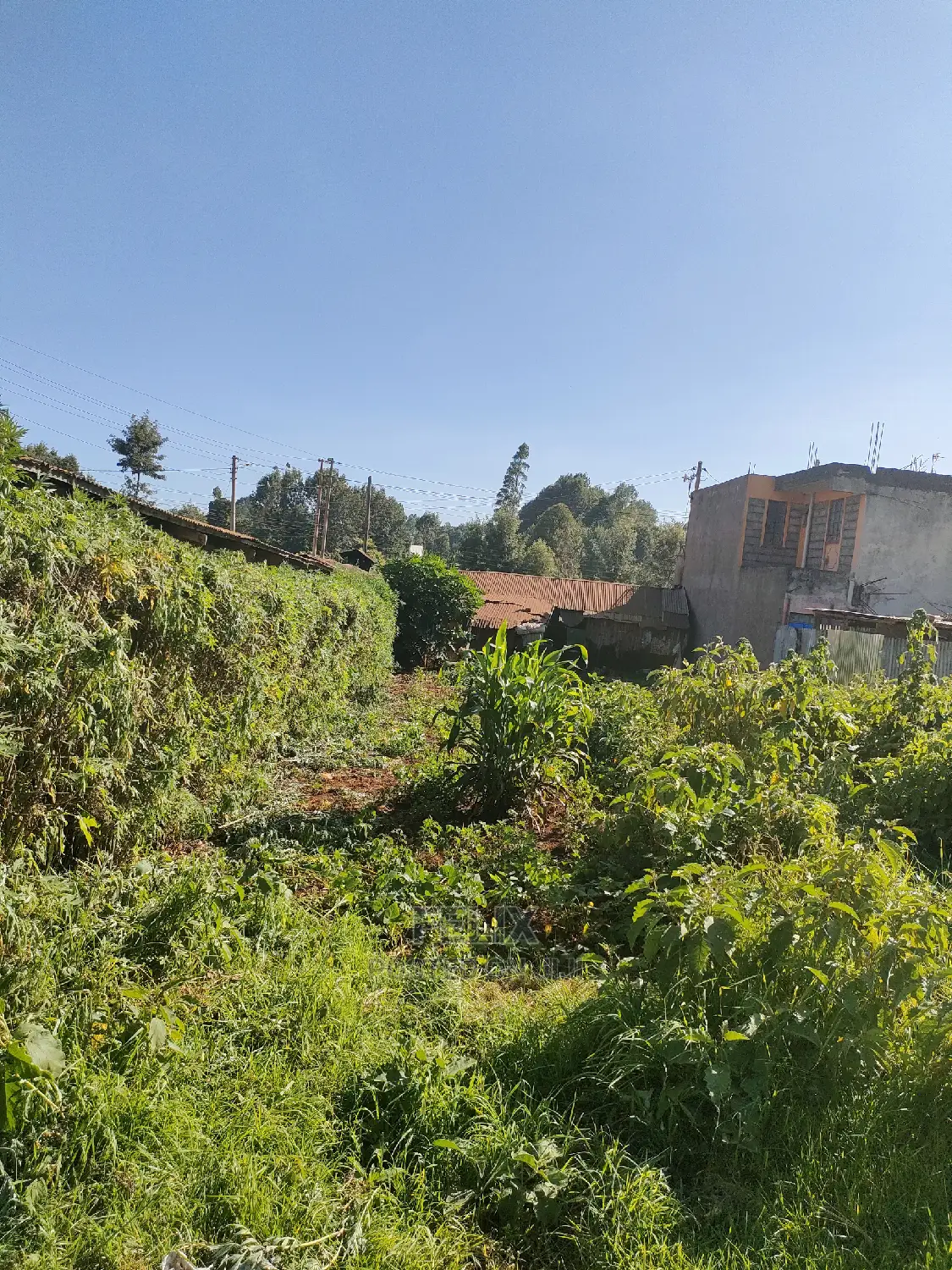 Karatina 1/8 Plot Main Highway in Karatina Town