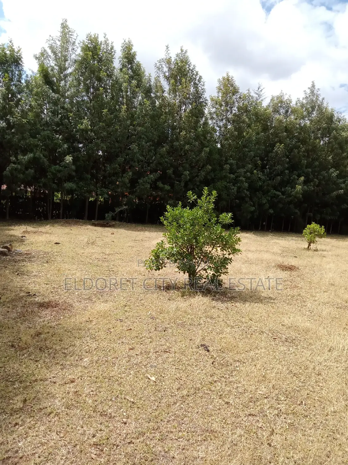 Half Acre Residential Land in Kuinet: Title Held, Ideal for Building in Moiben