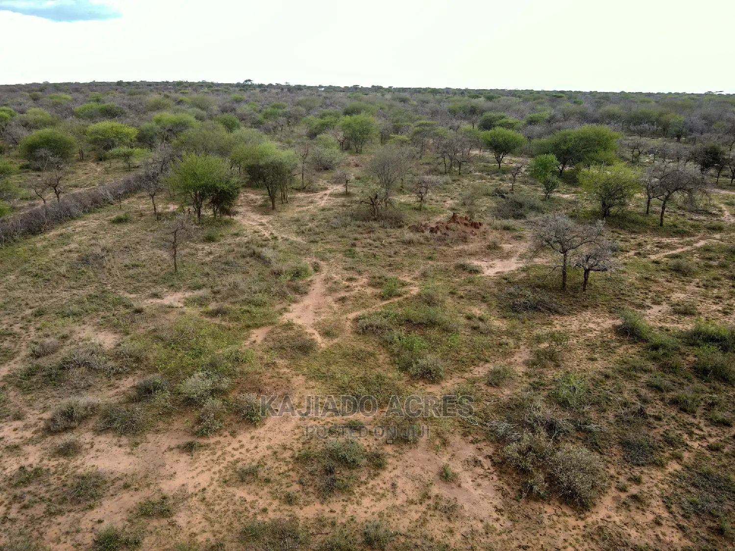 Large-Scale Prime 20 Acre Farm for Sale in Kajiado Central - Agriculture Focus in Imaroro