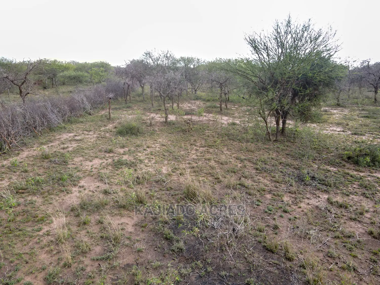 Large-Scale Prime 20 Acre Farm for Sale in Kajiado Central - Agriculture Focus in Imaroro