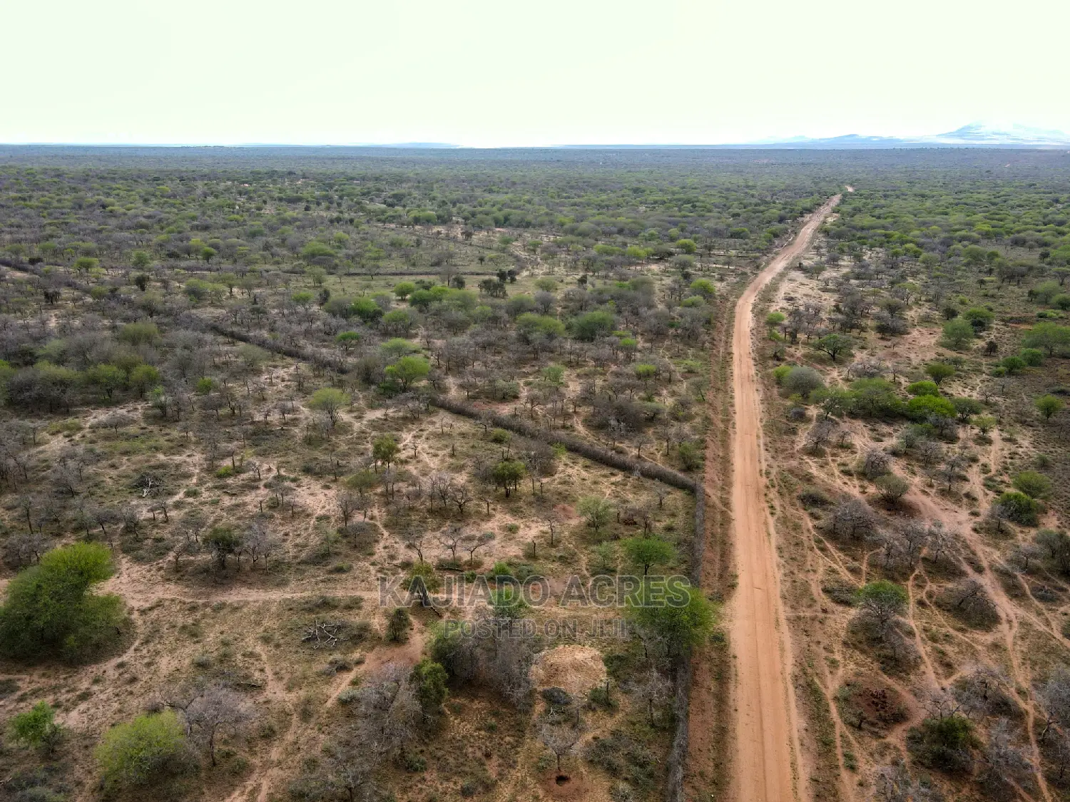 Large-Scale Prime 20 Acre Farm for Sale in Kajiado Central - Agriculture Focus in Imaroro