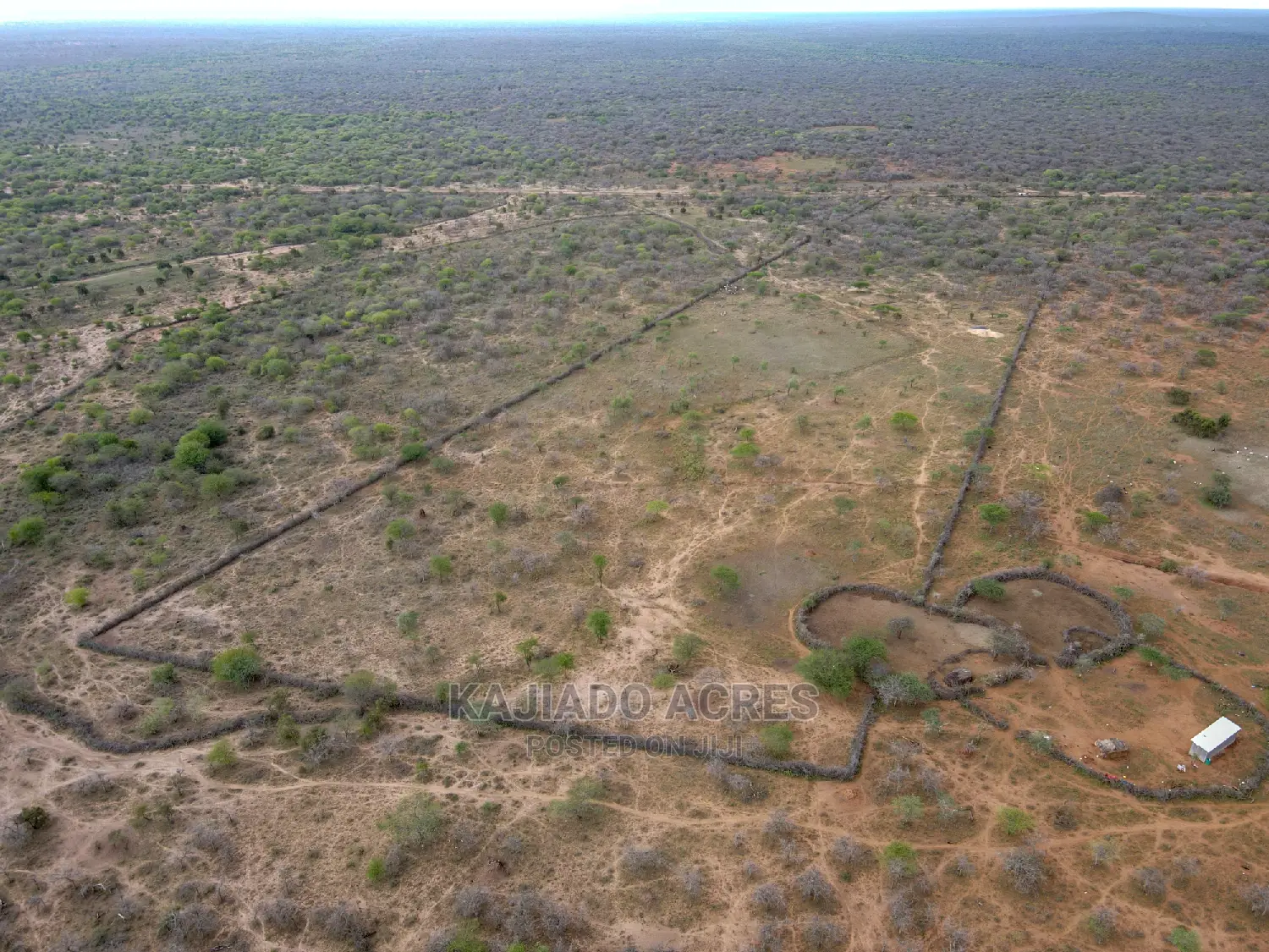 Large-Scale Prime 20 Acre Farm for Sale in Kajiado Central - Agriculture Focus in Imaroro