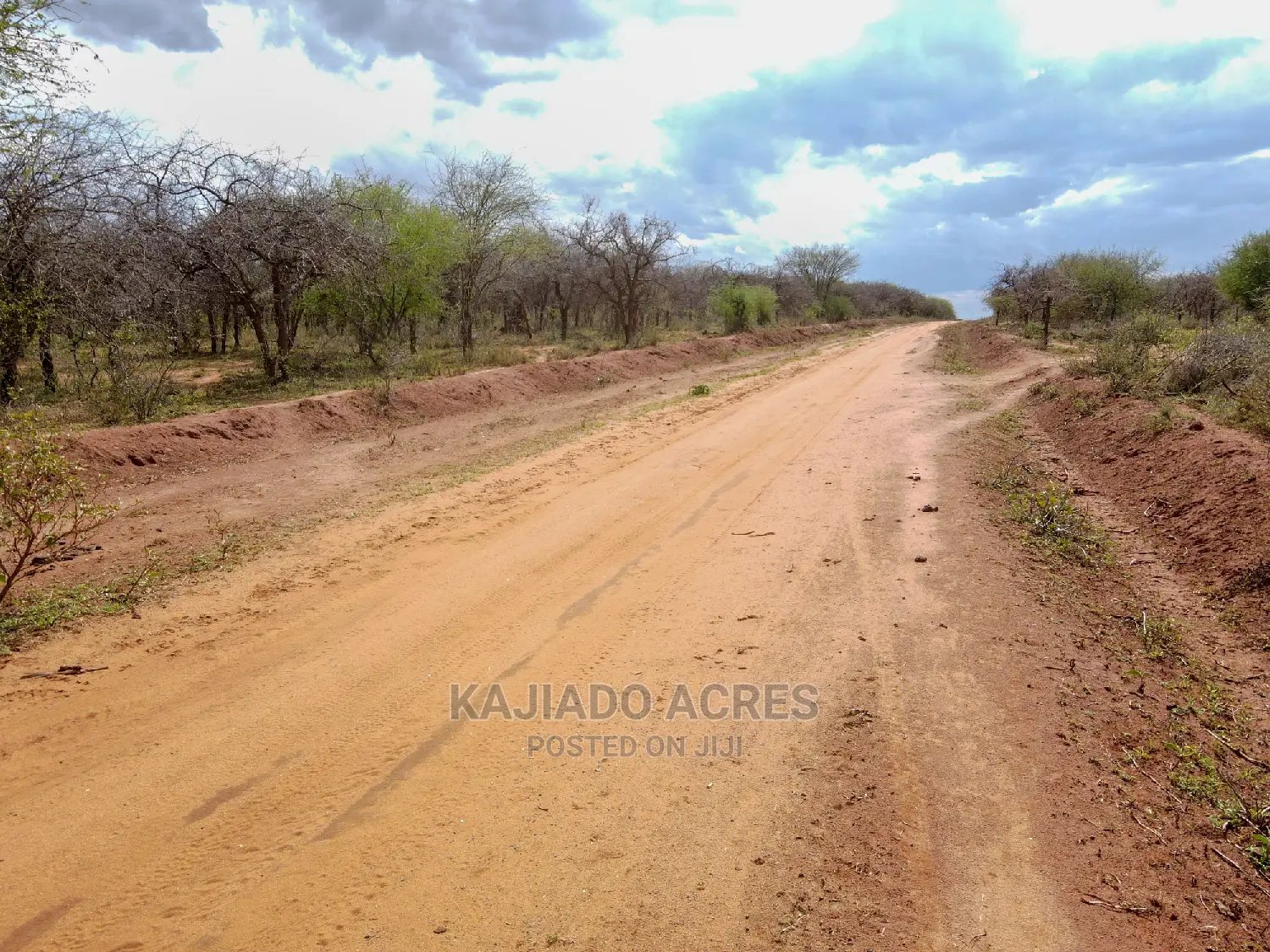 Affordable 42-acre farmland in Iselengei, Oloitoktok South, priced at KES 350,000 per acre in Loitoktok