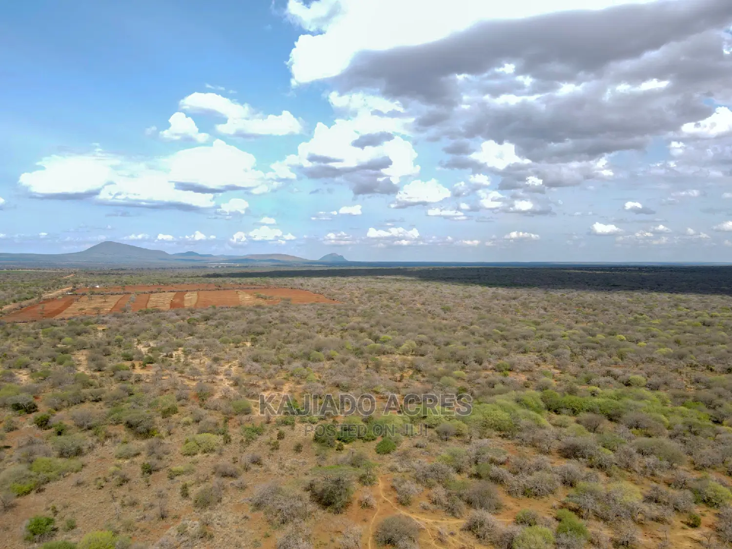 Affordable 42-acre farmland in Iselengei, Oloitoktok South, priced at KES 350,000 per acre in Loitoktok
