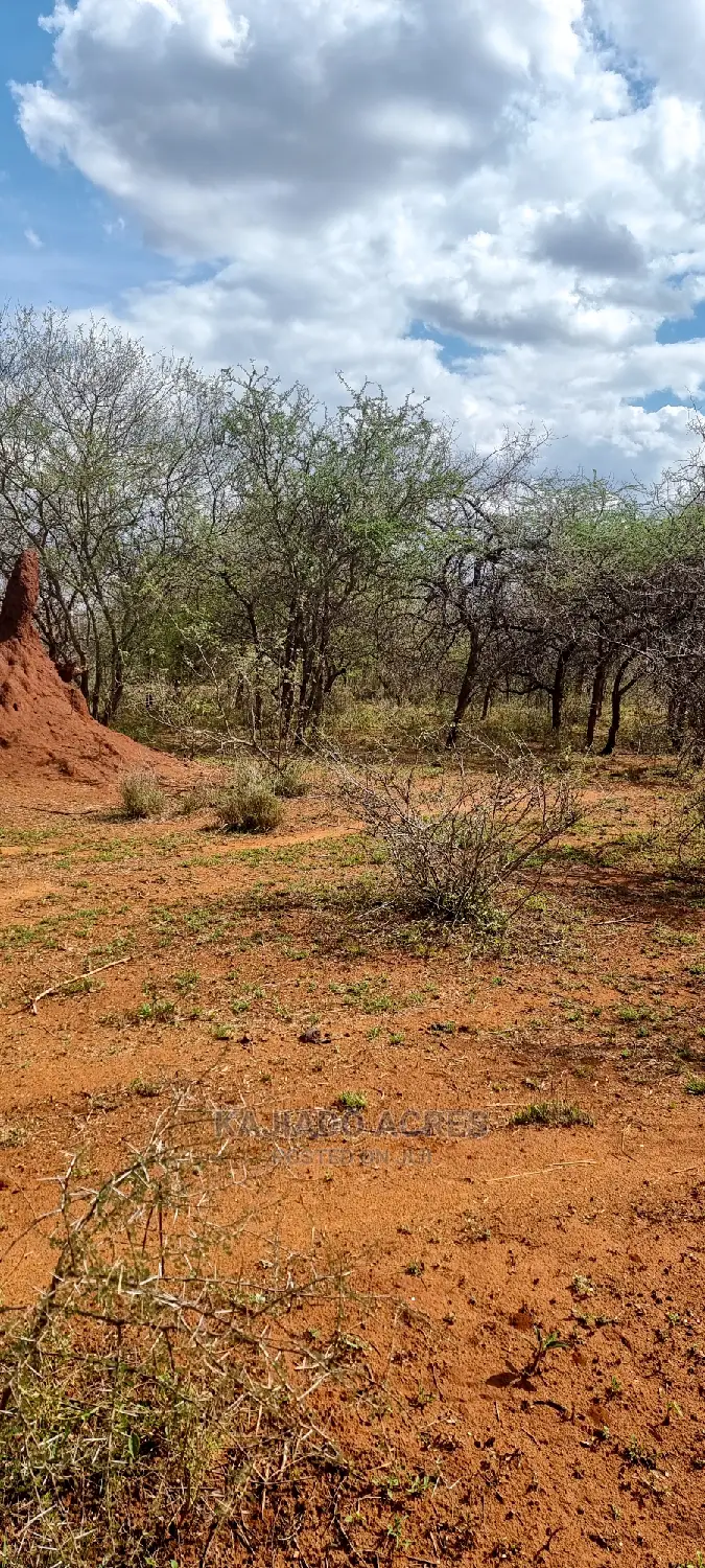 Affordable 42-acre farmland in Iselengei, Oloitoktok South, priced at KES 350,000 per acre in Loitoktok