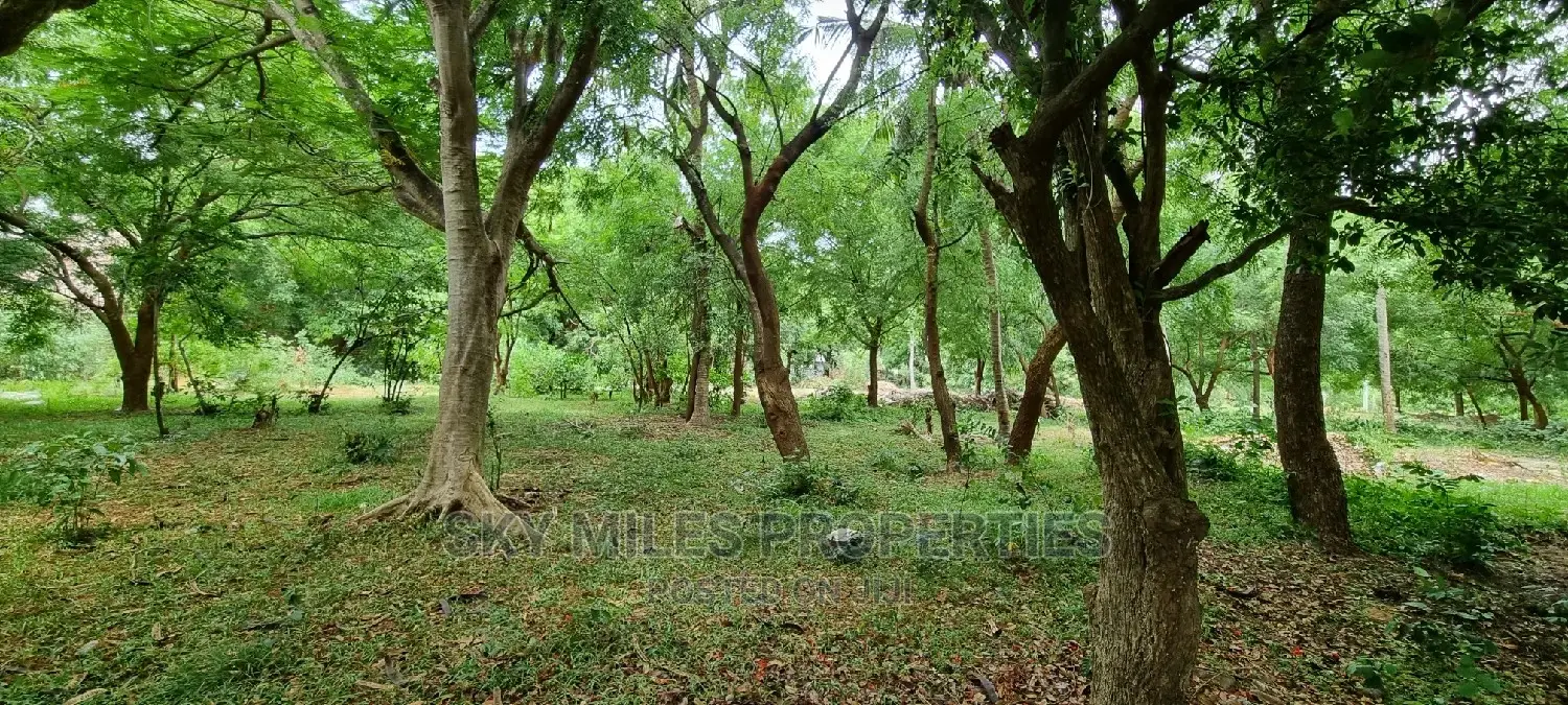 Affordable 1/4 Plots in La-Marina Creek Side Mtwapa in Mtwapa