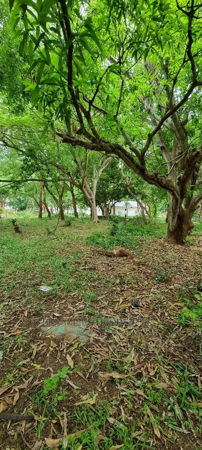 Affordable 1/4 Plots in La-Marina Creek Side Mtwapa in Mtwapa
