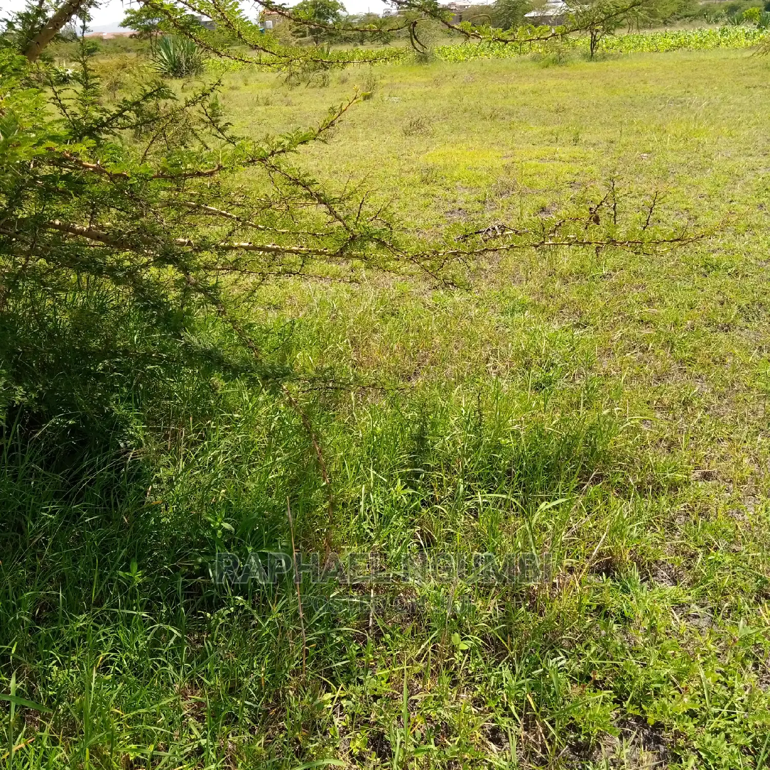 Plot at Kenya Israel Machakos. in Machakos Town
