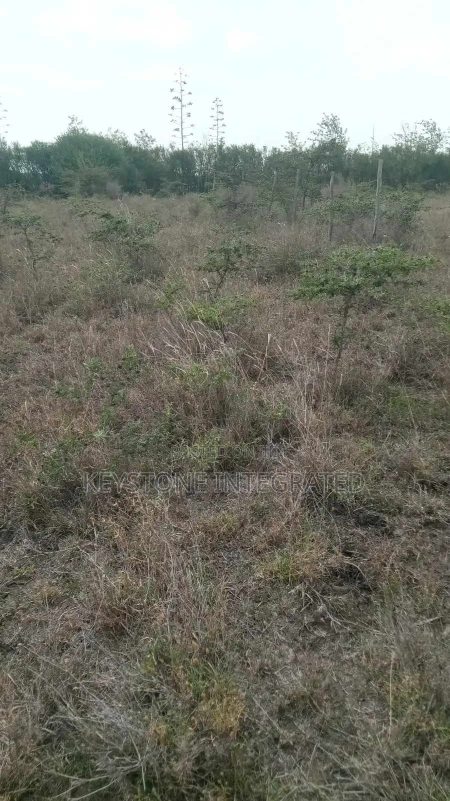 5 Acre Land for Sale in Kiserian in Kisaju