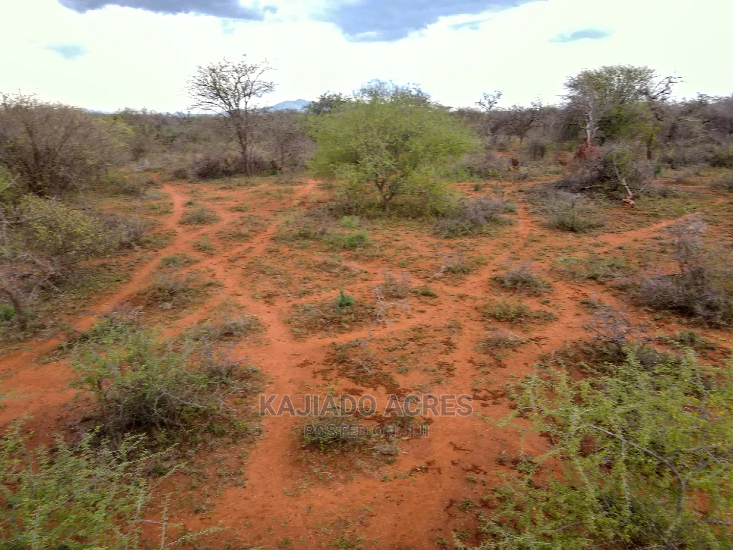 138-Acre Farmland Available in Mailwa, Kajiado Central - At Competitive 300k Per Acre in Imaroro