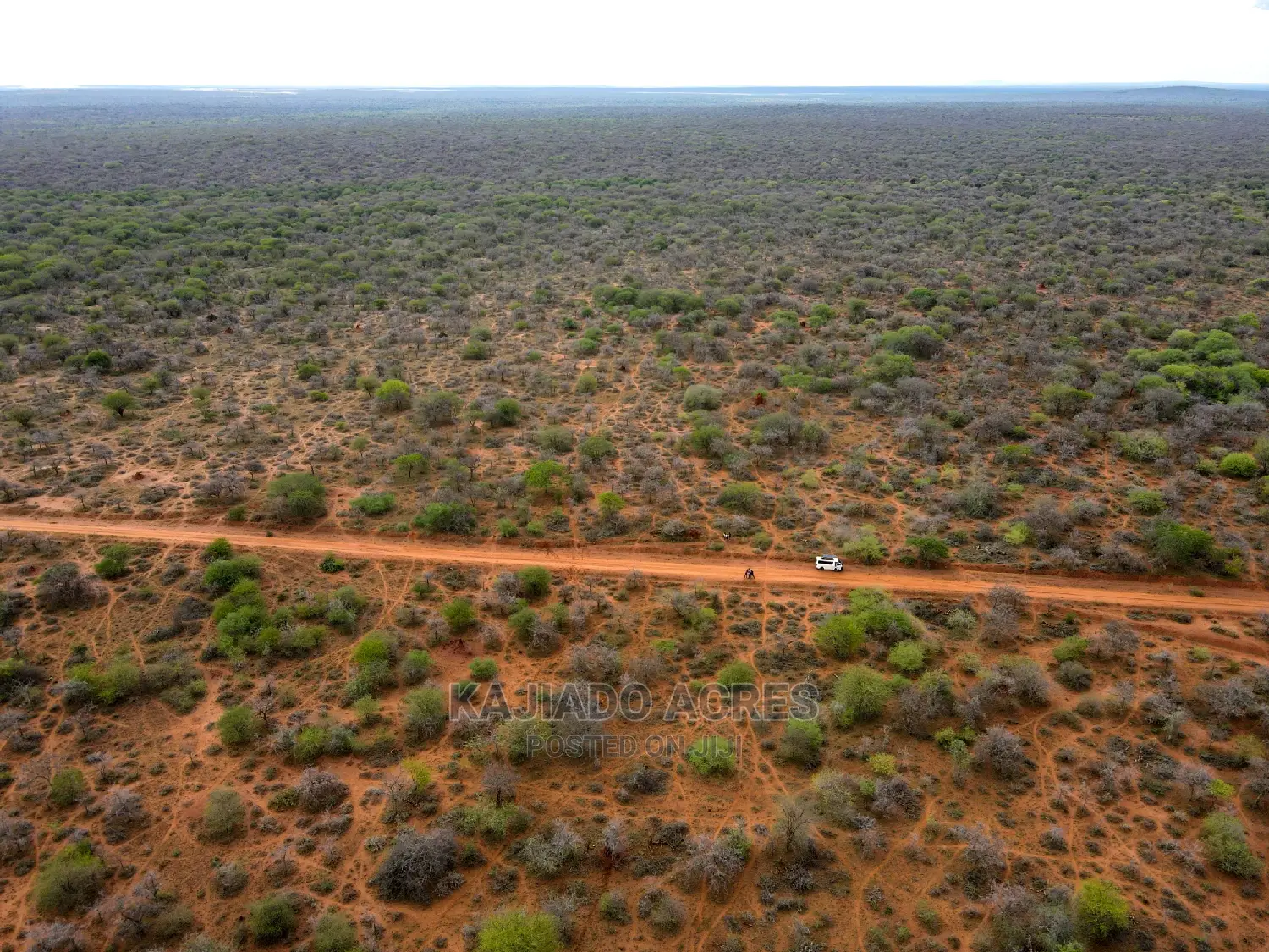 138-Acre Farmland Available in Mailwa, Kajiado Central - At Competitive 300k Per Acre in Imaroro
