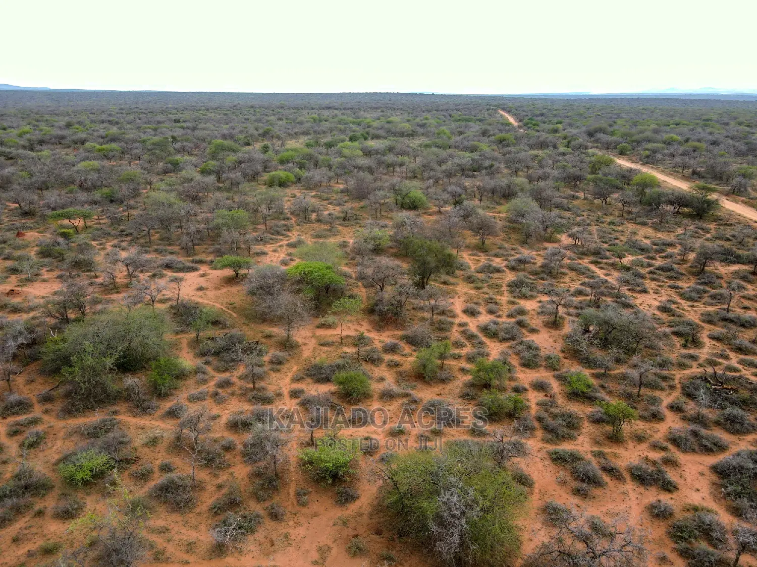 138-Acre Farmland Available in Mailwa, Kajiado Central - At Competitive 300k Per Acre in Imaroro