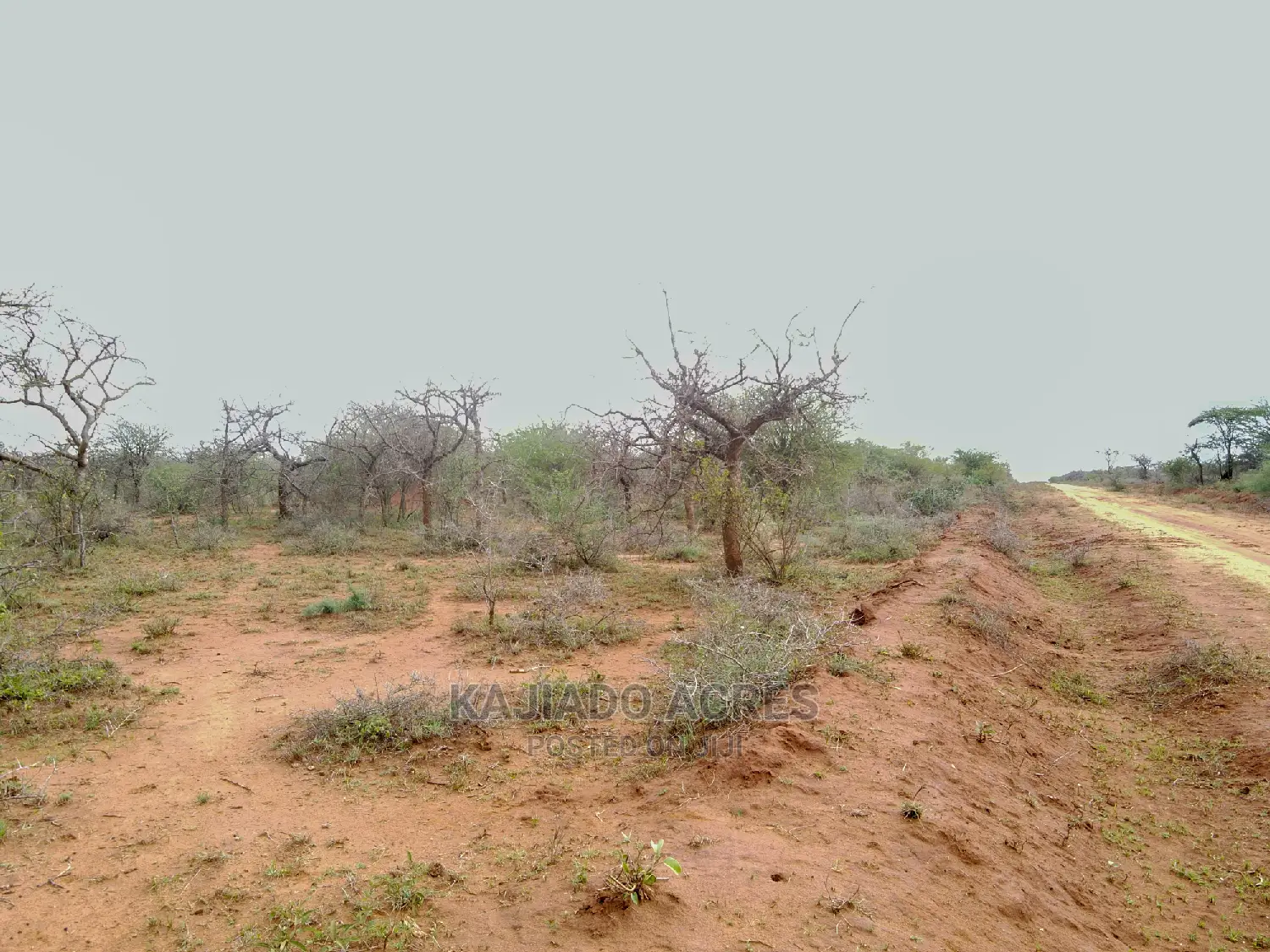 138-Acre Farmland Available in Mailwa, Kajiado Central - At Competitive 300k Per Acre in Imaroro