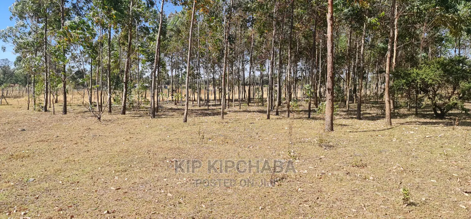 1-Acre Property Available in Sogomo, Opposite Dl Farm, Eldoret in Kimumu