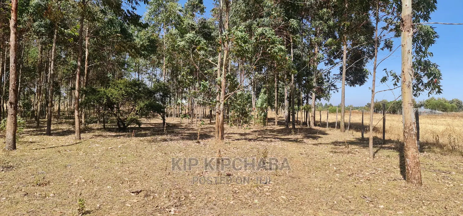 1-Acre Property Available in Sogomo, Opposite Dl Farm, Eldoret in Kimumu
