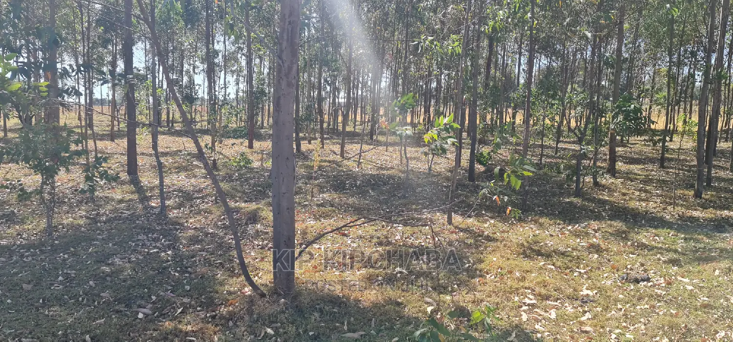 1-Acre Property Available in Sogomo, Opposite Dl Farm, Eldoret in Kimumu