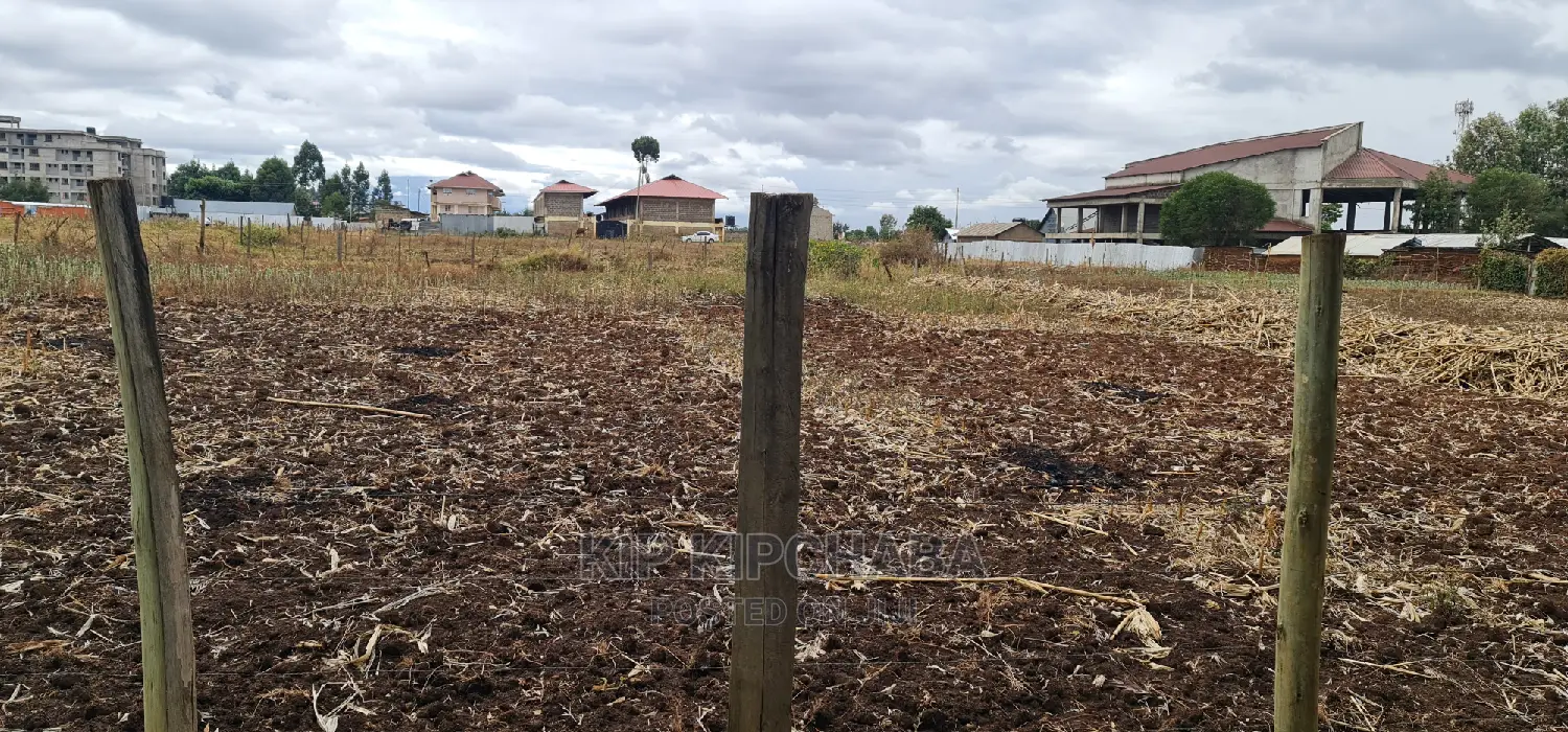 Affordable 1/4 Acre Plot in Pioneer Shell, Eldoret - Invest in Real Estate Now! in Pioneer Estate