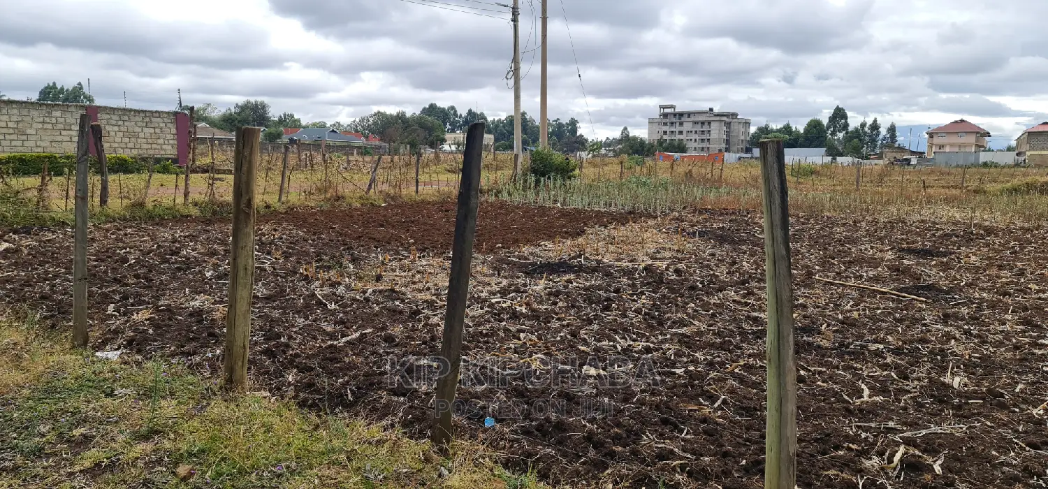 Affordable 1/4 Acre Plot in Pioneer Shell, Eldoret - Invest in Real Estate Now! in Pioneer Estate