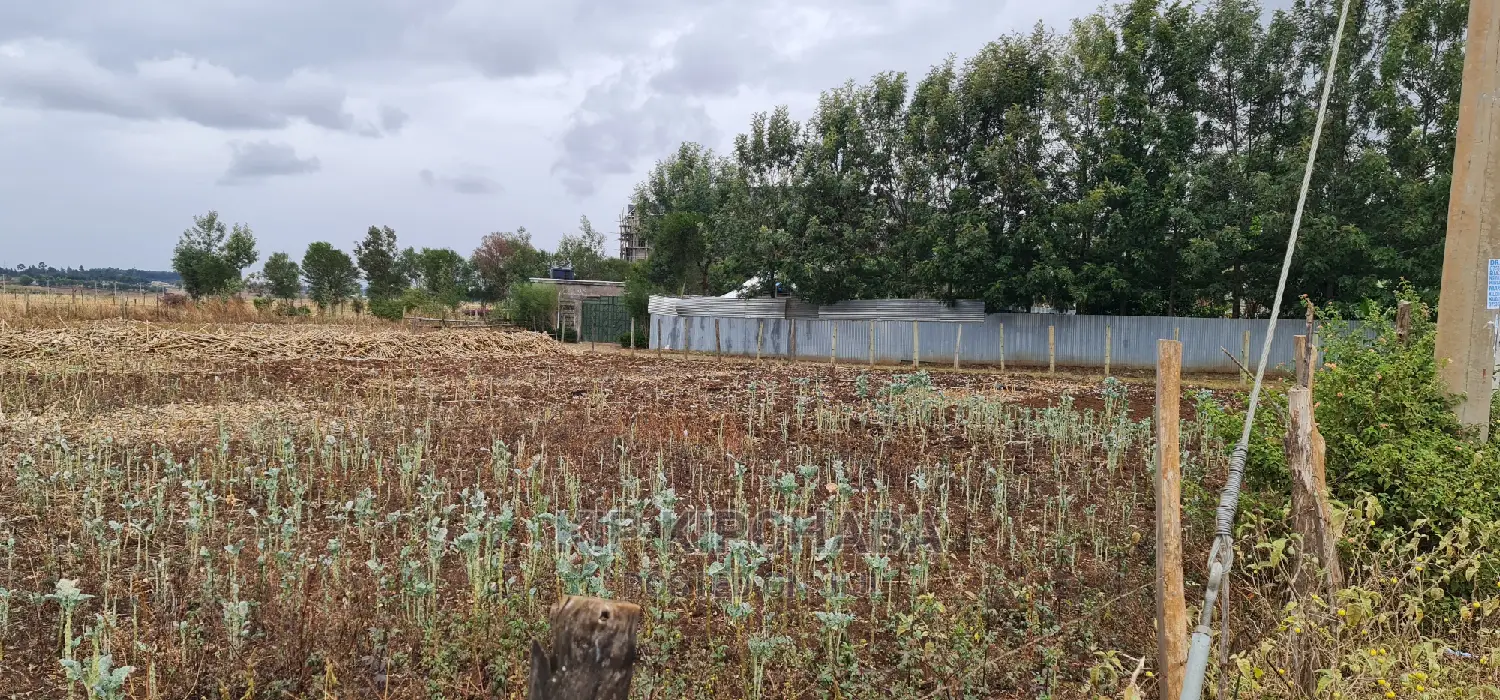 Affordable 1/4 Acre Plot in Pioneer Shell, Eldoret - Invest in Real Estate Now! in Pioneer Estate