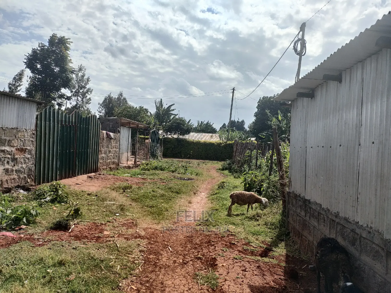 Gatitu Developed Plot With Houses in Nyeri Town