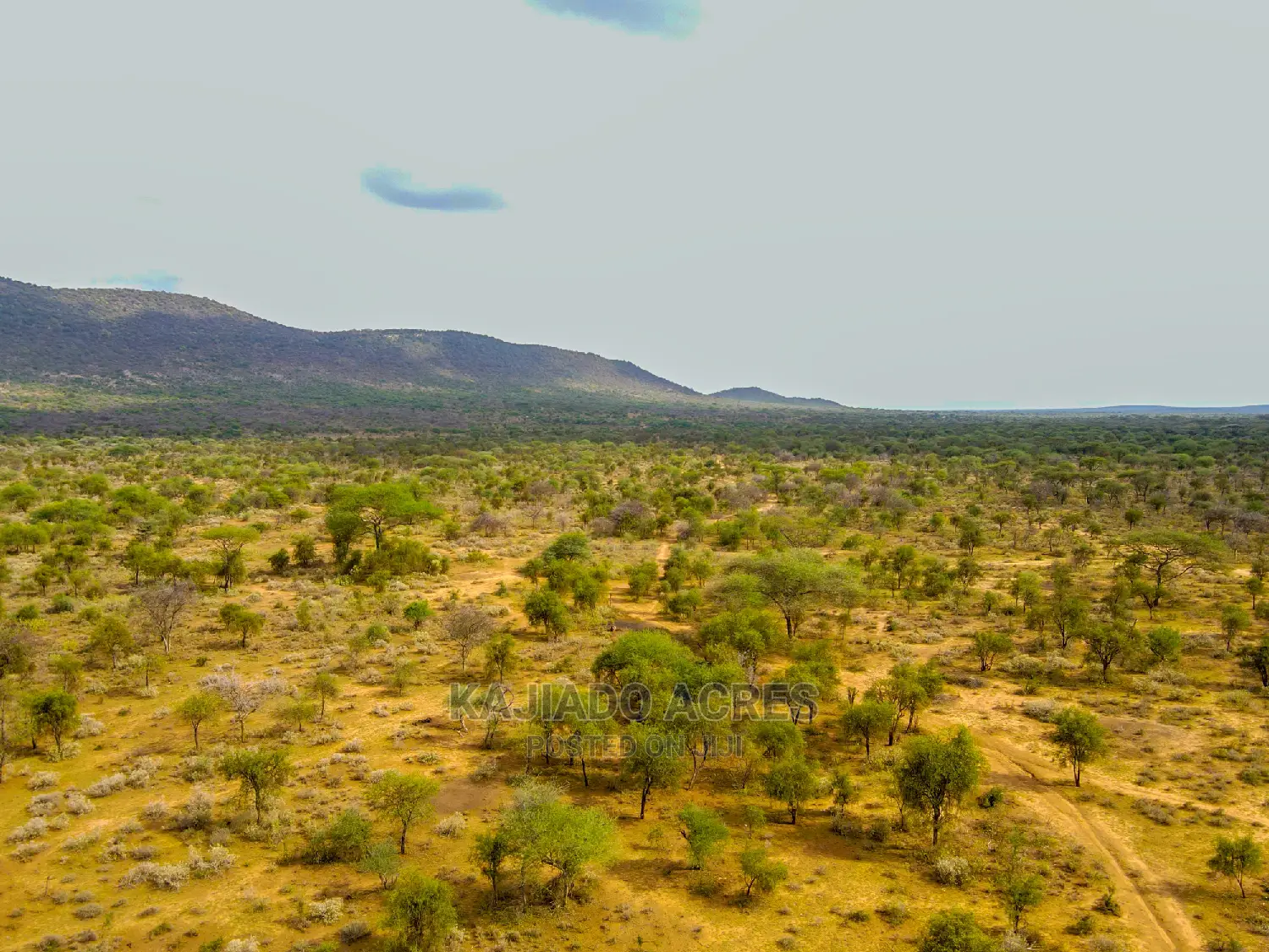 140 Acres Maili Tisa - Quick Sale Opportunity! in Namanga