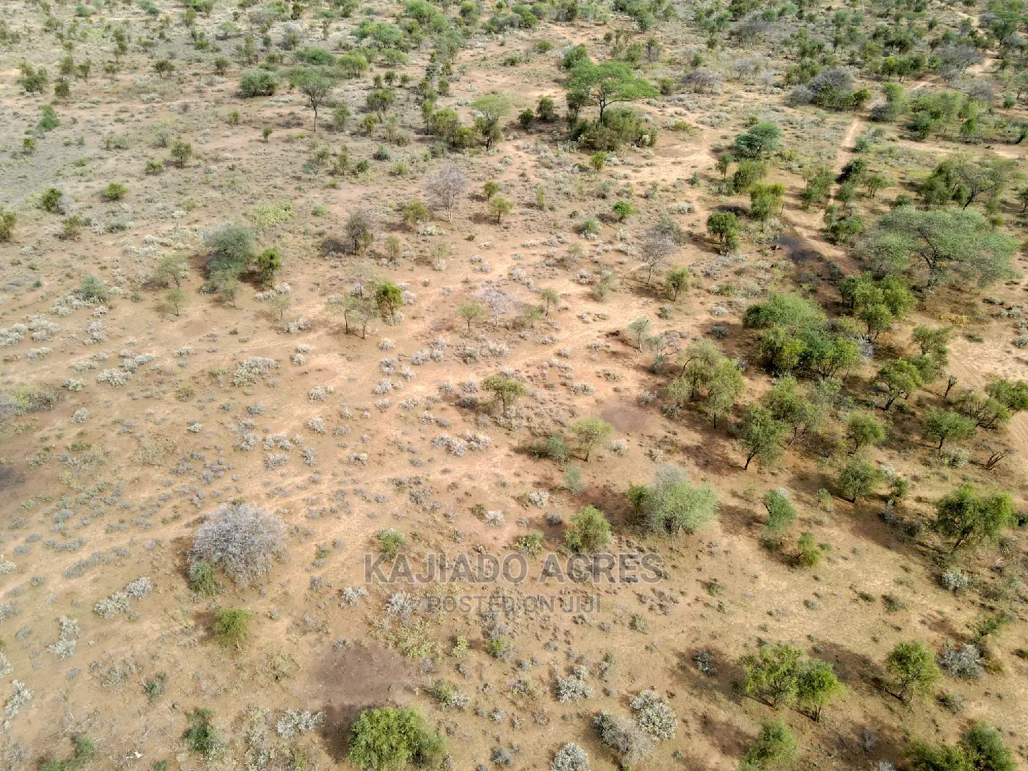 140 Acres Maili Tisa - Quick Sale Opportunity! in Namanga