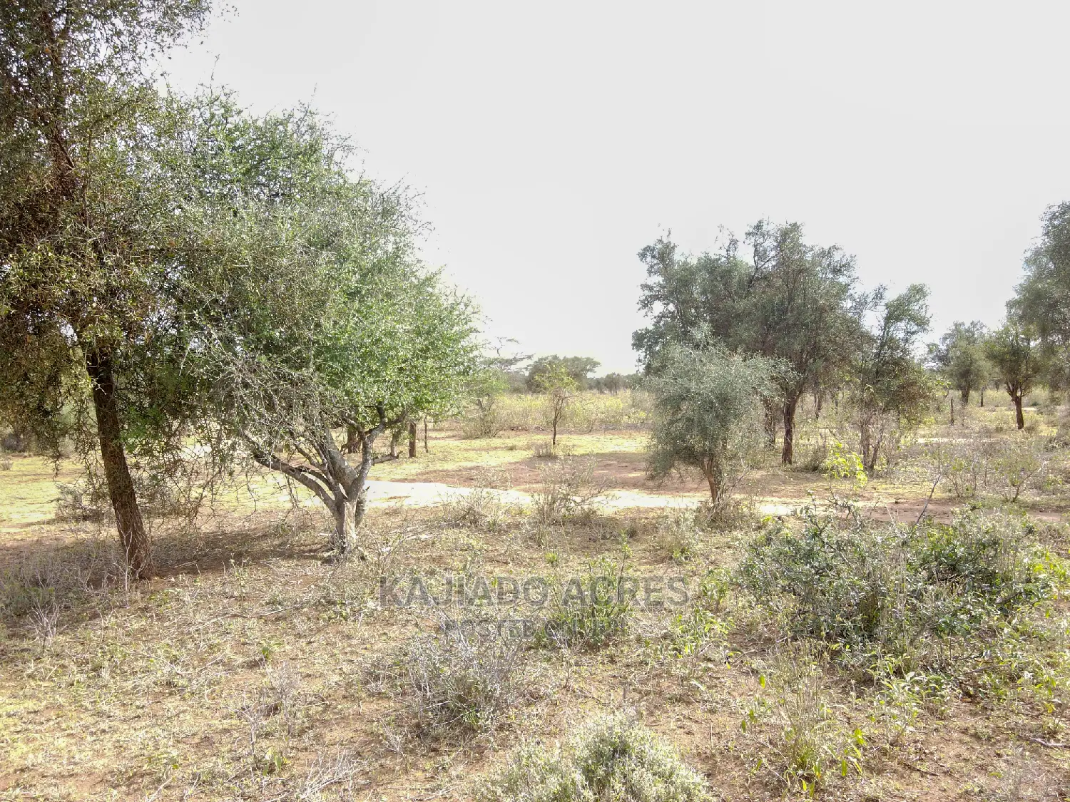 140 Acres Maili Tisa - Quick Sale Opportunity! in Namanga