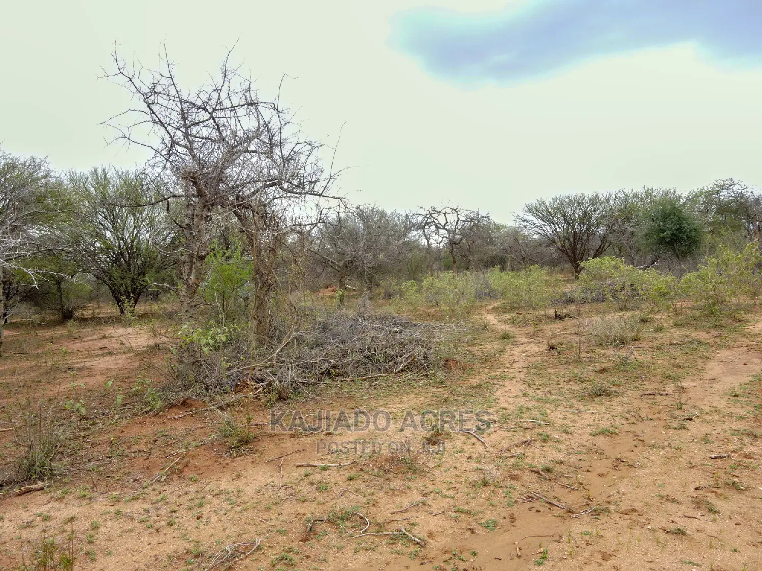 140 Acres Maili Tisa - Quick Sale Opportunity! in Namanga