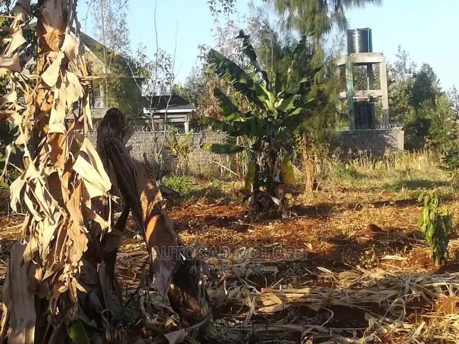 Mugumo's 1/4 Acre Land: Your Dream Property in Tinganga