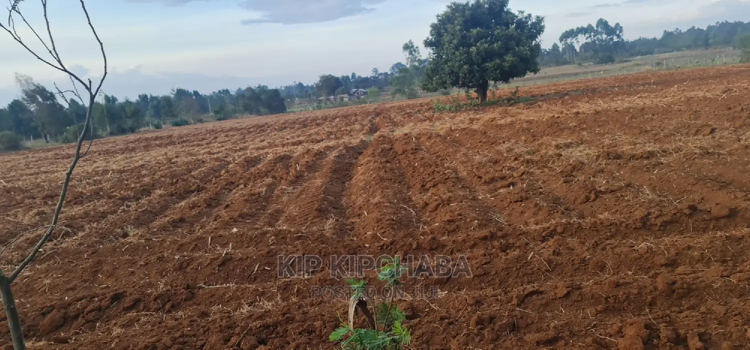 5-Acre Land for Sale: Prime Property in Cheplasgei Eldoret in Racecourse