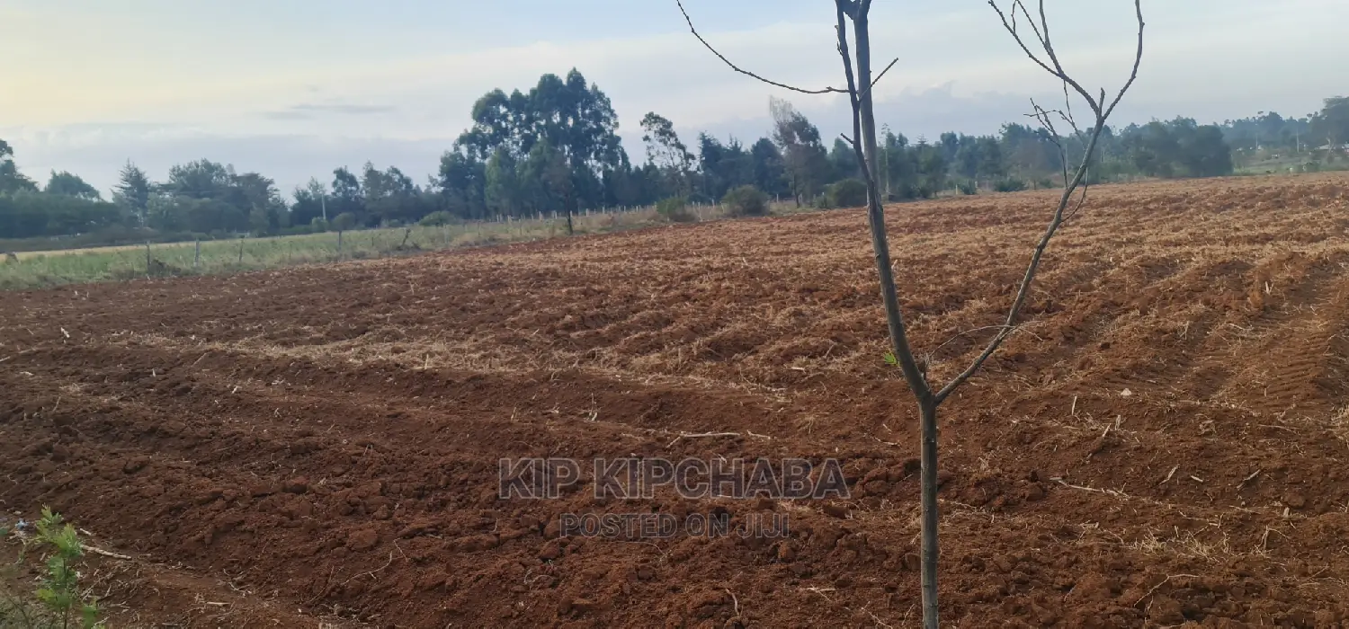 5-Acre Land for Sale: Prime Property in Cheplasgei Eldoret in Racecourse